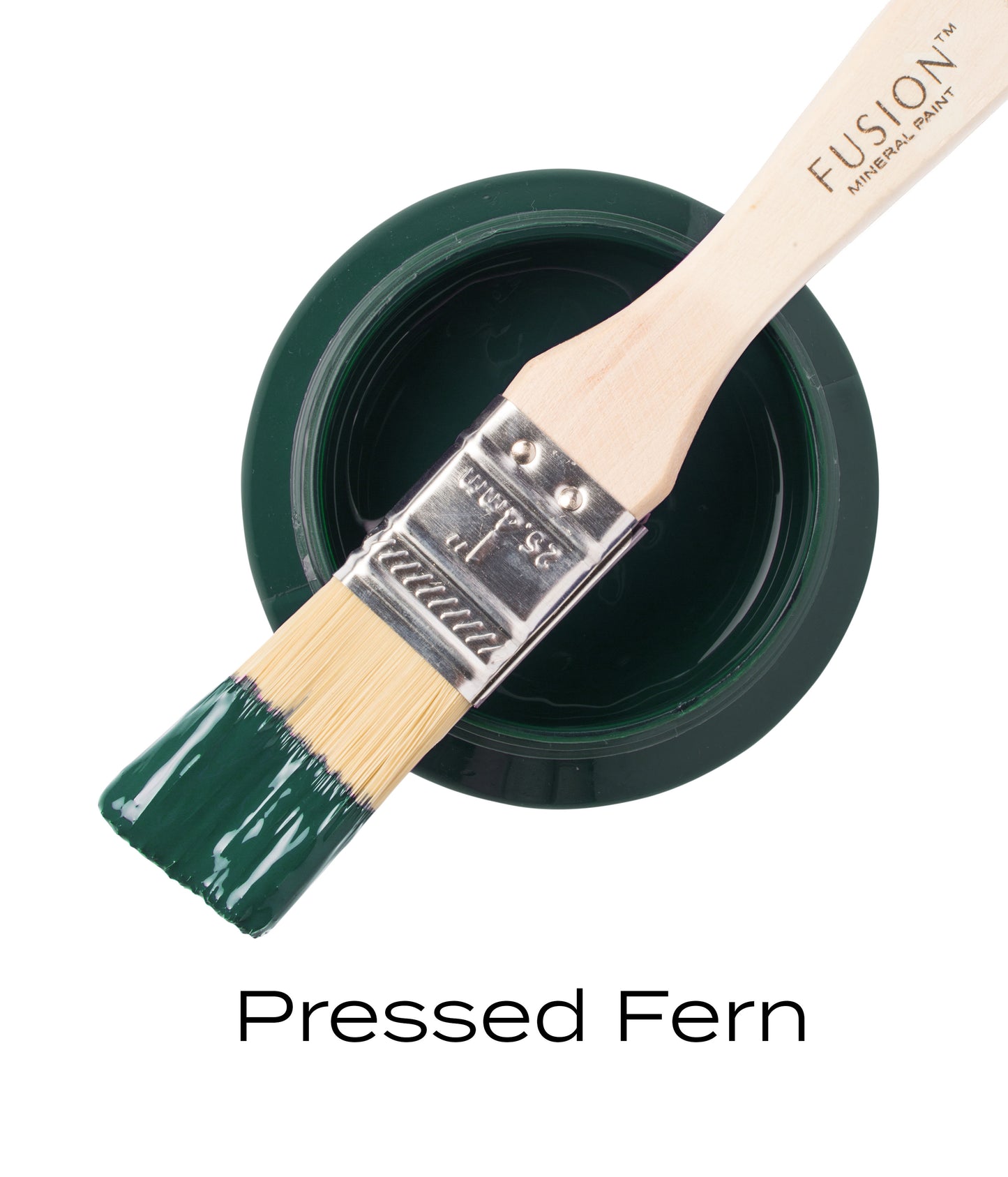 Pressed fern