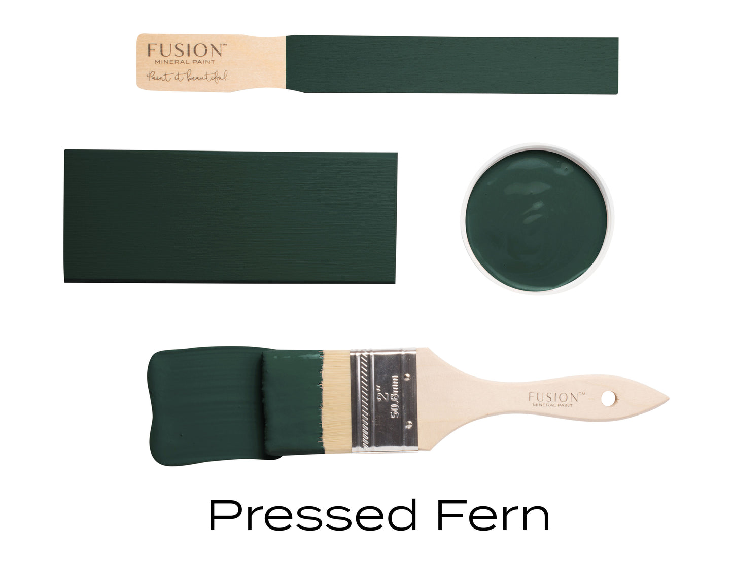 Pressed fern