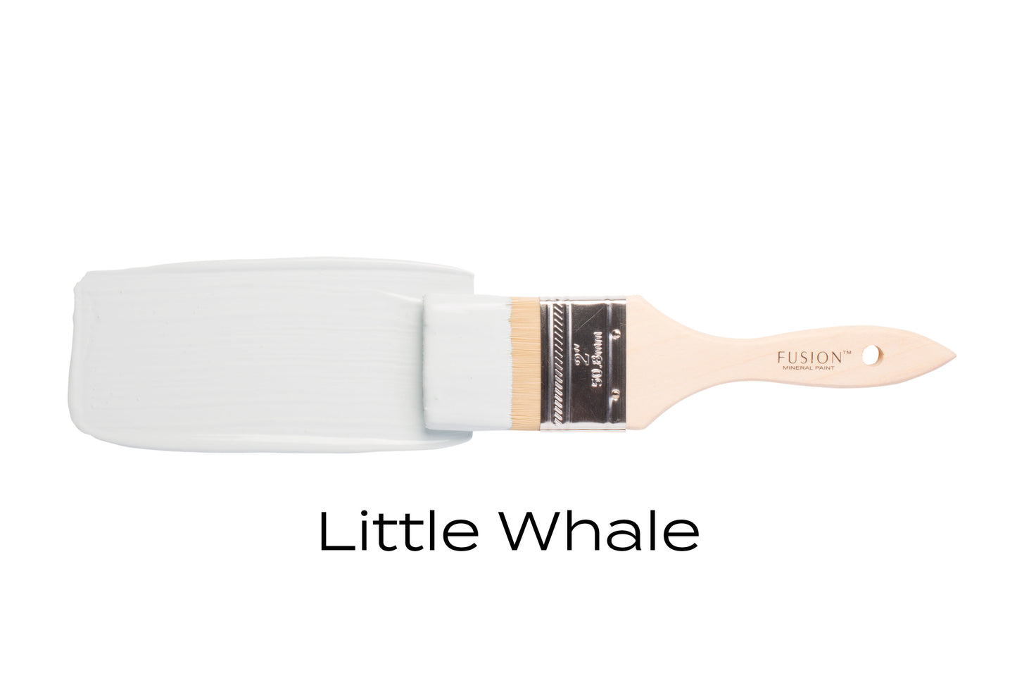 Little Whale