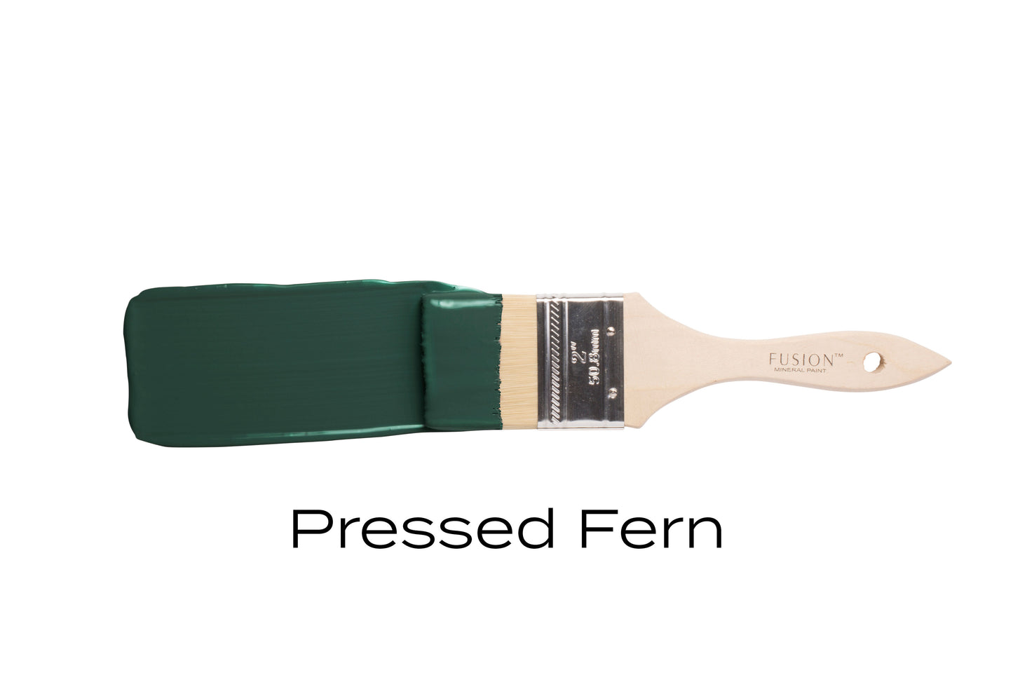 Pressed fern